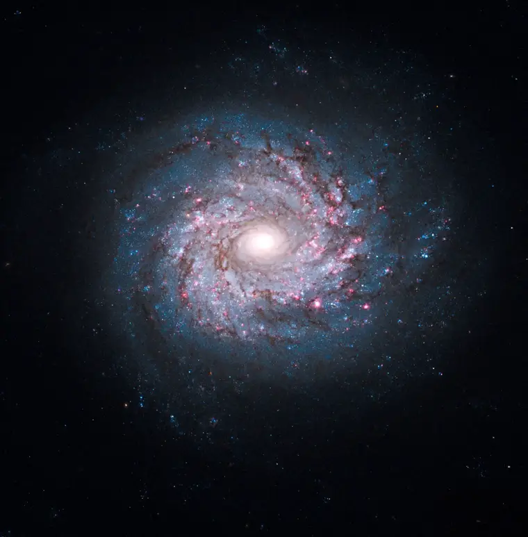 NGC 3982'nin Nefes Kesen Yıldız Fabrikaları - Dünyadan Güncel Teknoloji Haberleri